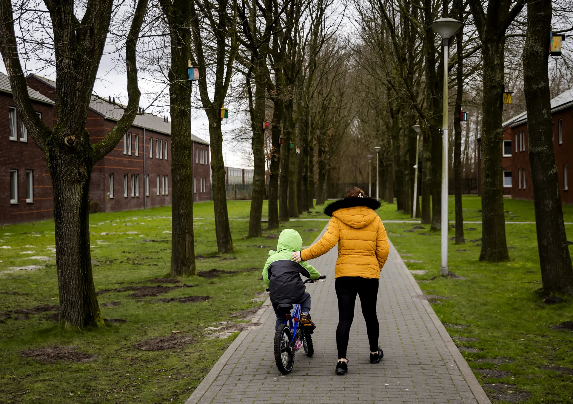 Afbeelding van Waarom kunnen asielzoekers vaker niet werken?