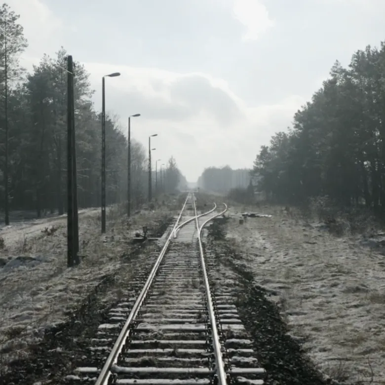 Afbeelding van Nakomelingen van Sobibor-overlevenden: 'Ik ben opgegroeid met het idee dat de wereld onveilig is'