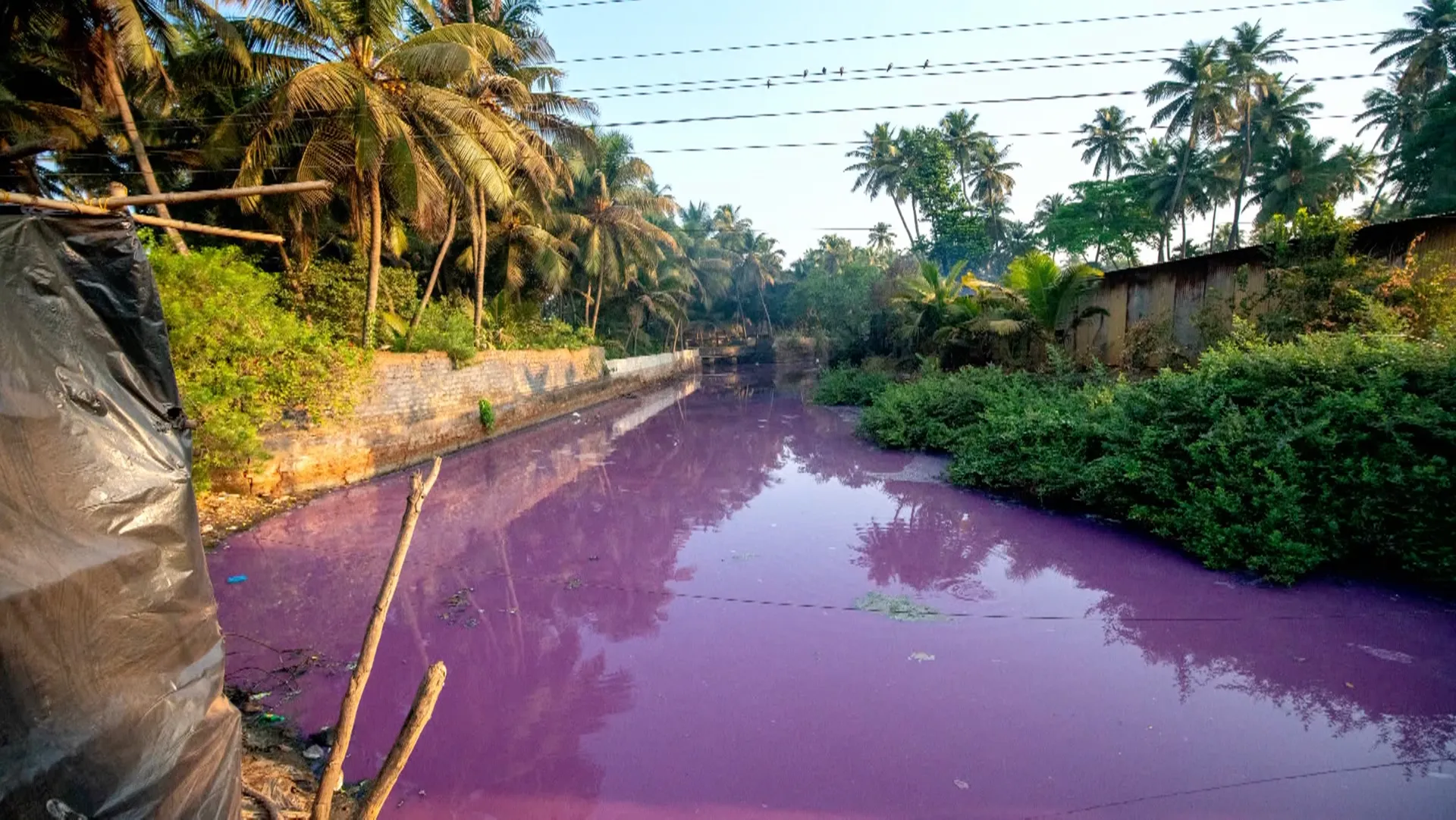 Scherm­afbeelding 2026-03-26 om 10.35.19