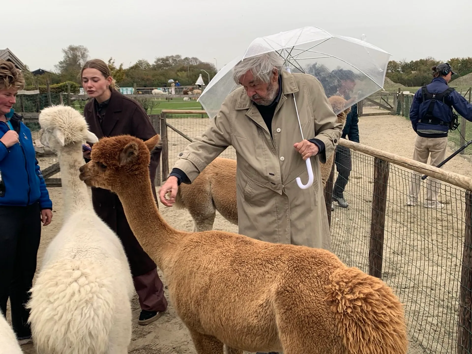 Maarten aait alpaca