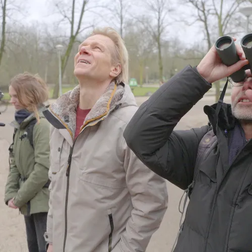 Vroege Vogels