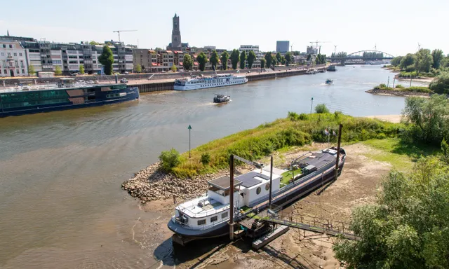 Afbeelding van Droogte in Nederland: waarom staat het water in de rivieren zo laag?
