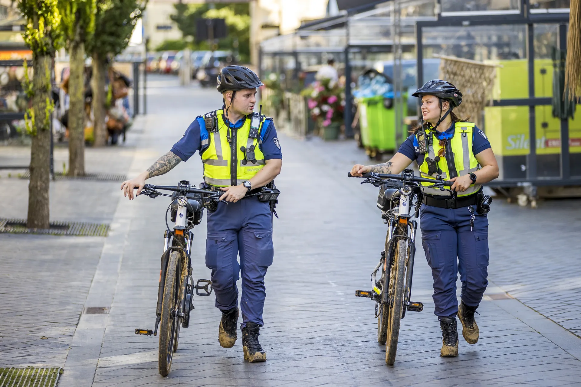 Afbeelding van Wat doet een boa eigenlijk?