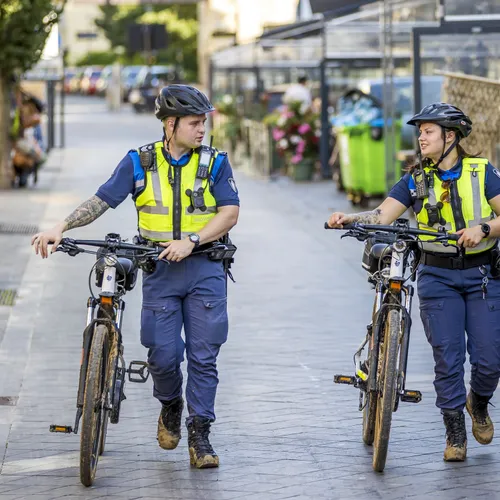 Wat doet een boa eigenlijk?