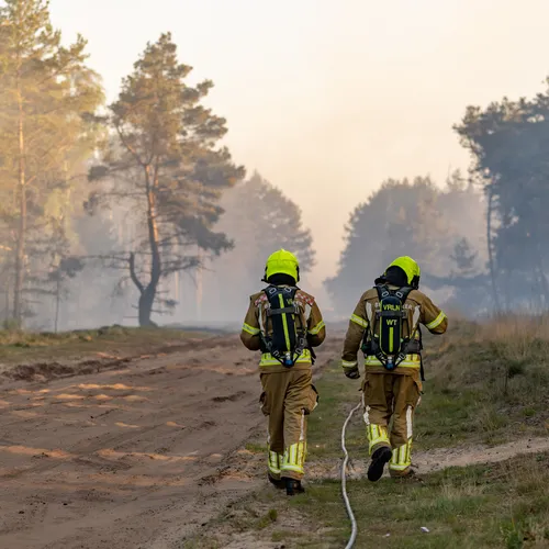 Afbeelding van Hoe snel herstelt de natuur zich na een brand?