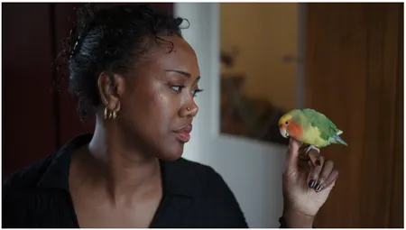 Afbeelding van Het bloed van mijn vader