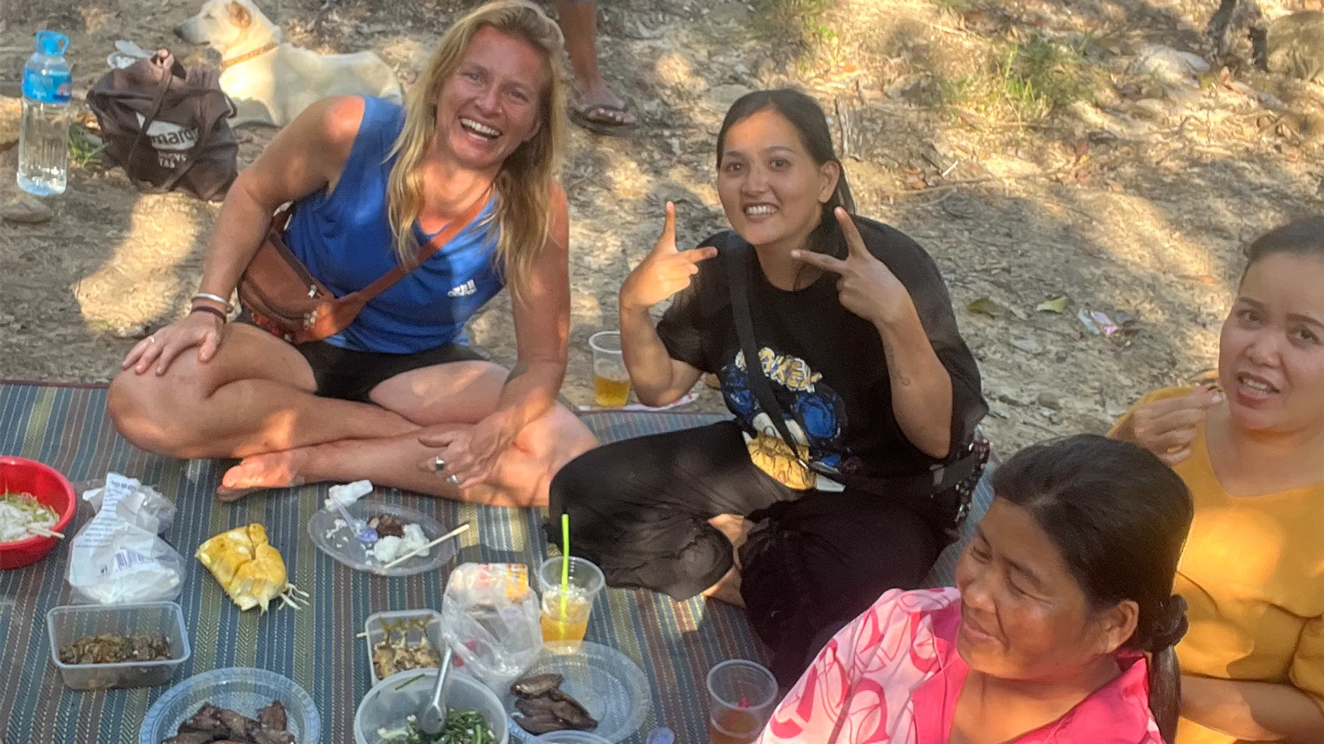 Picknick