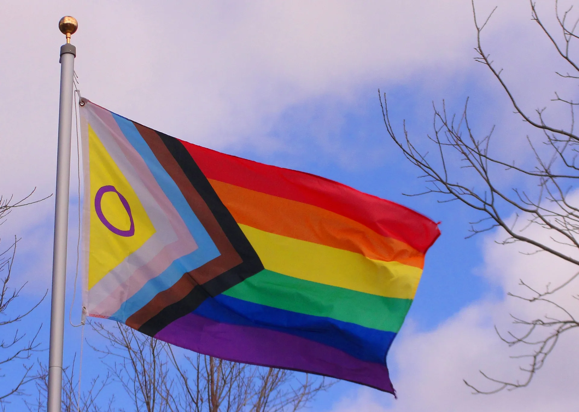 Afbeelding van Test: Wat weet jij van de queer-gemeenschap?