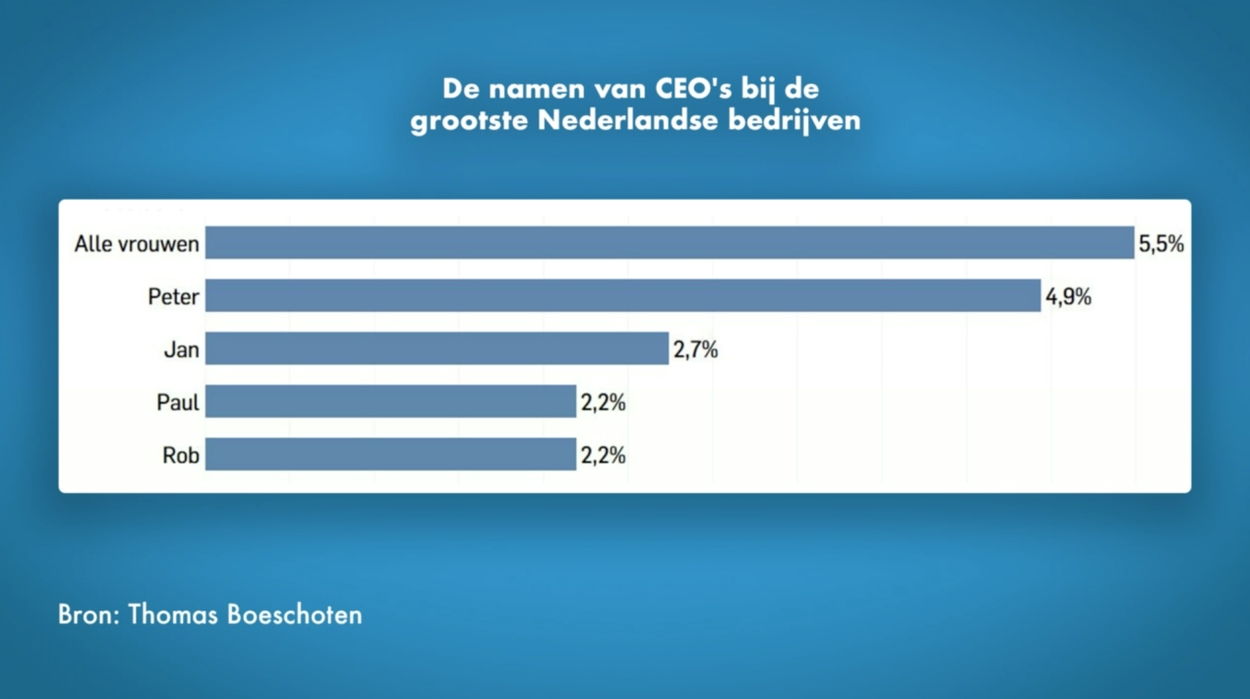 Verdeling CEO's bij de grootste Nederlandse bedrijven
