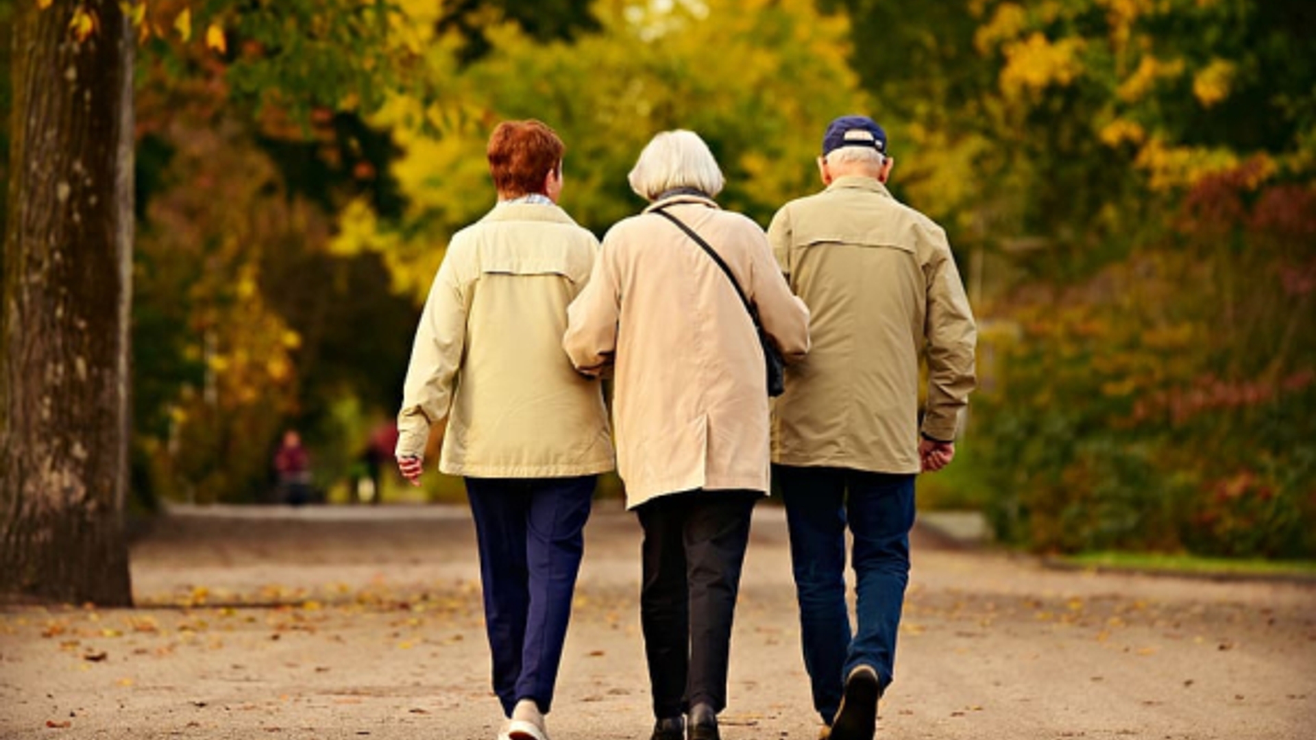 people-three-elderly-walking_600_400_int_c1-2x