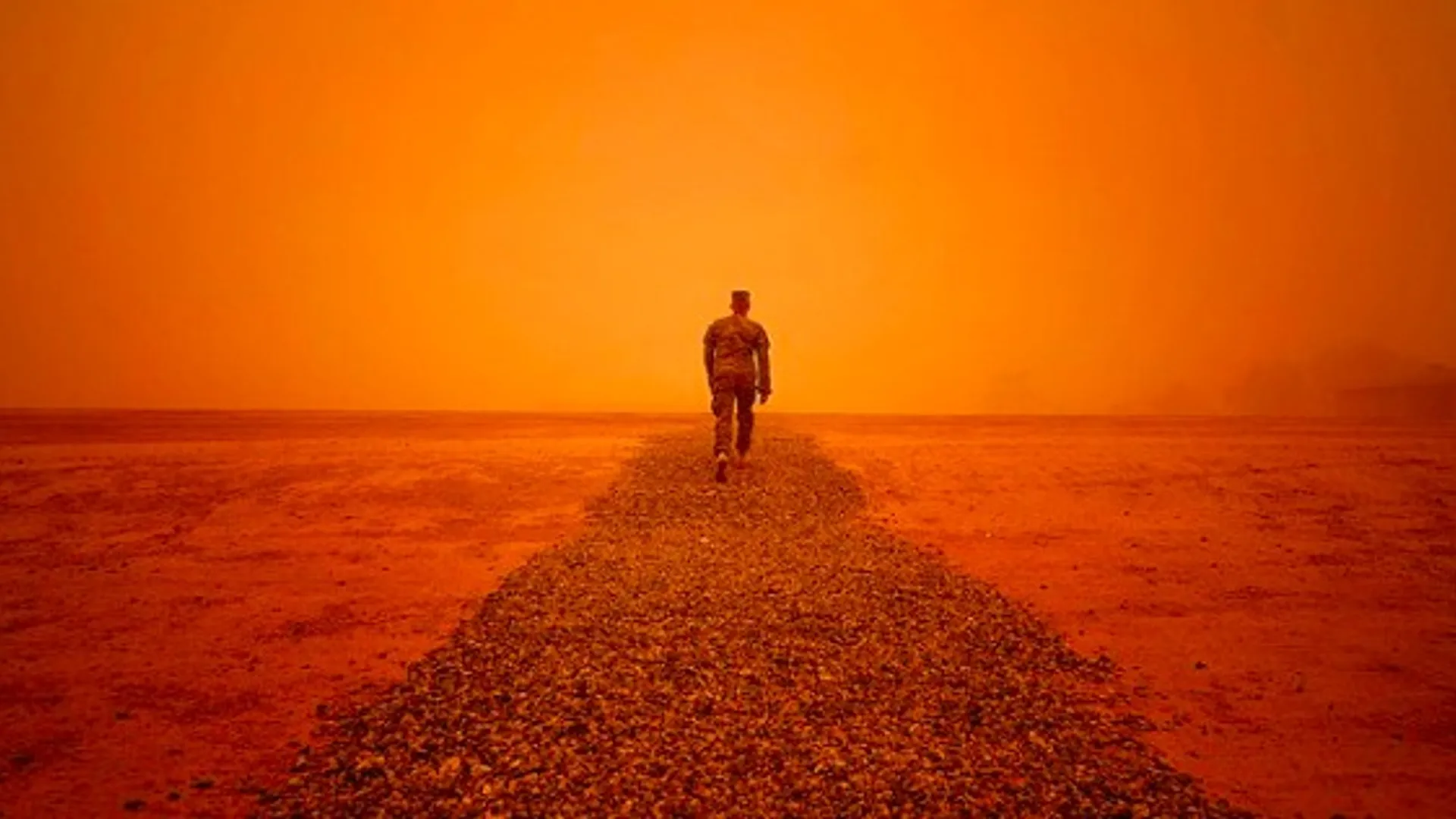 WhatsApp Image 2017-05-04 at 14.21.07