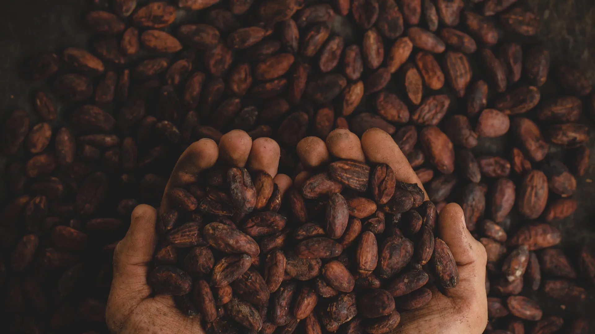 pablo-merchan-montes-SCbq6uKCyMY-unsplash