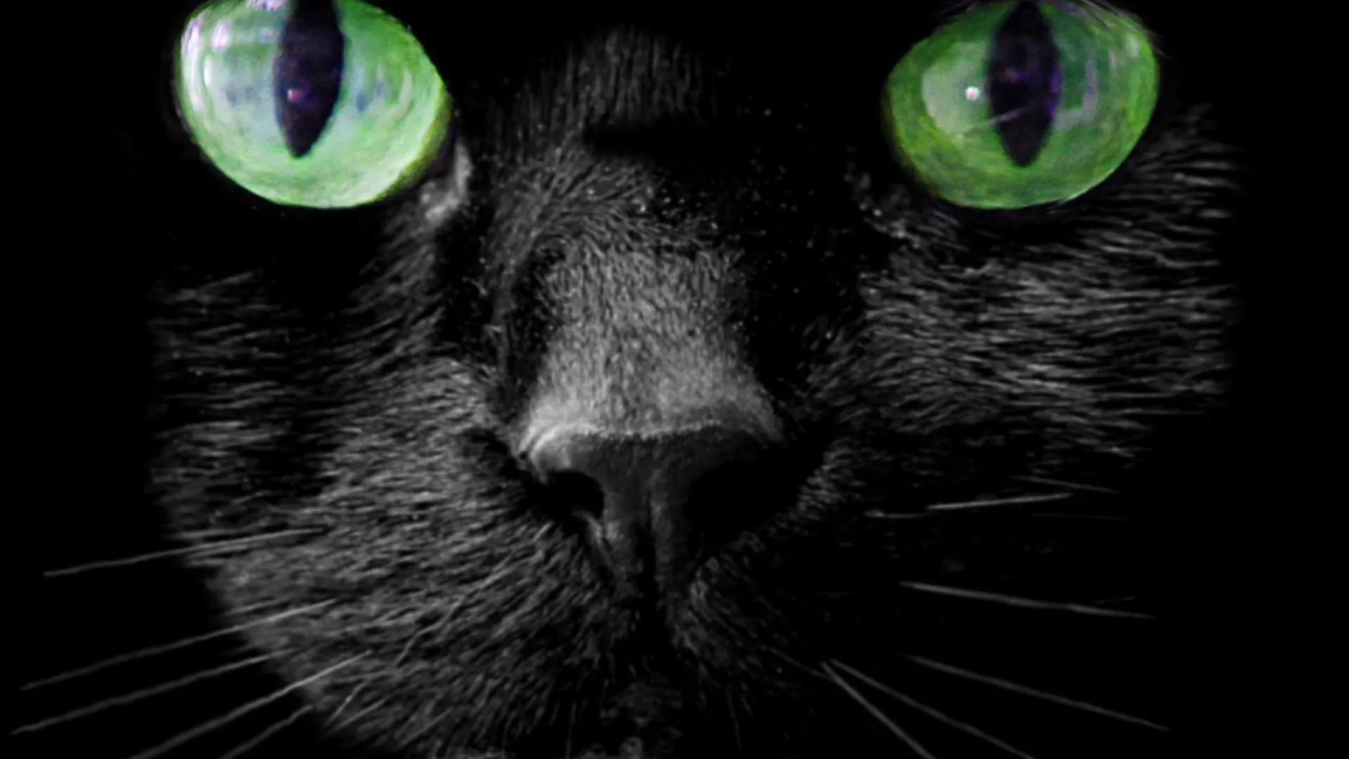 5717852049_4349c31298_b