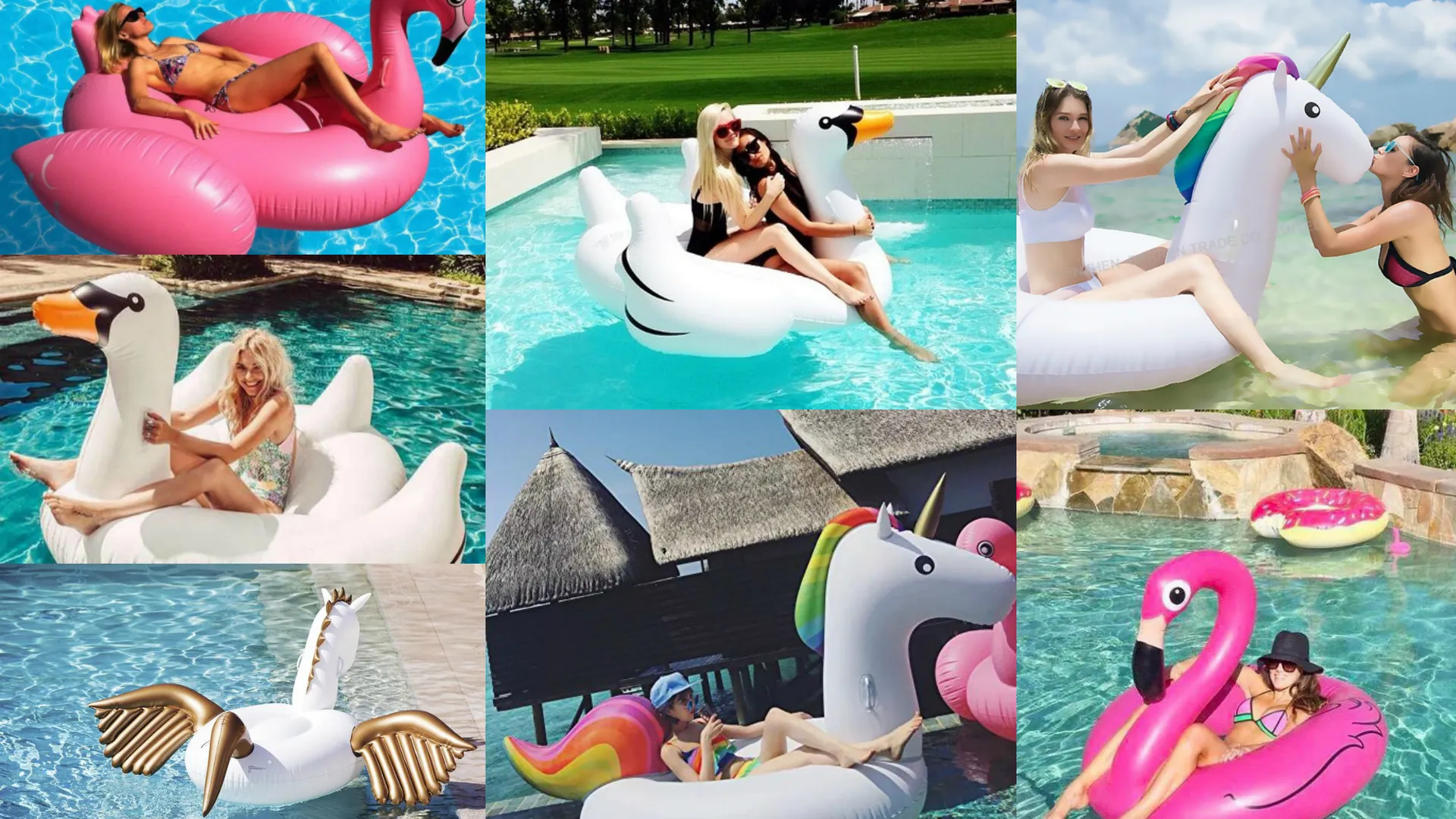 Opblaasdieren_Header