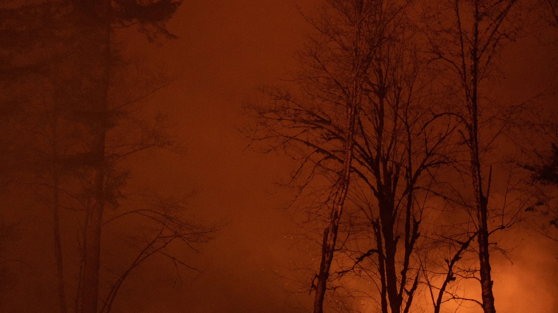 cristofer-jeschke-hsu2LeJ5ugE-unsplash