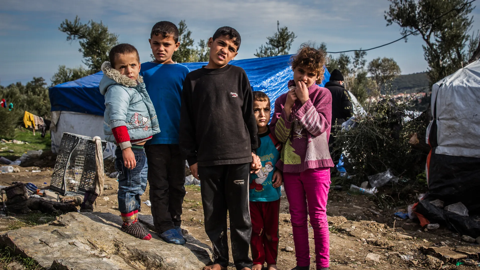 25111332637_1eba0e159f_o