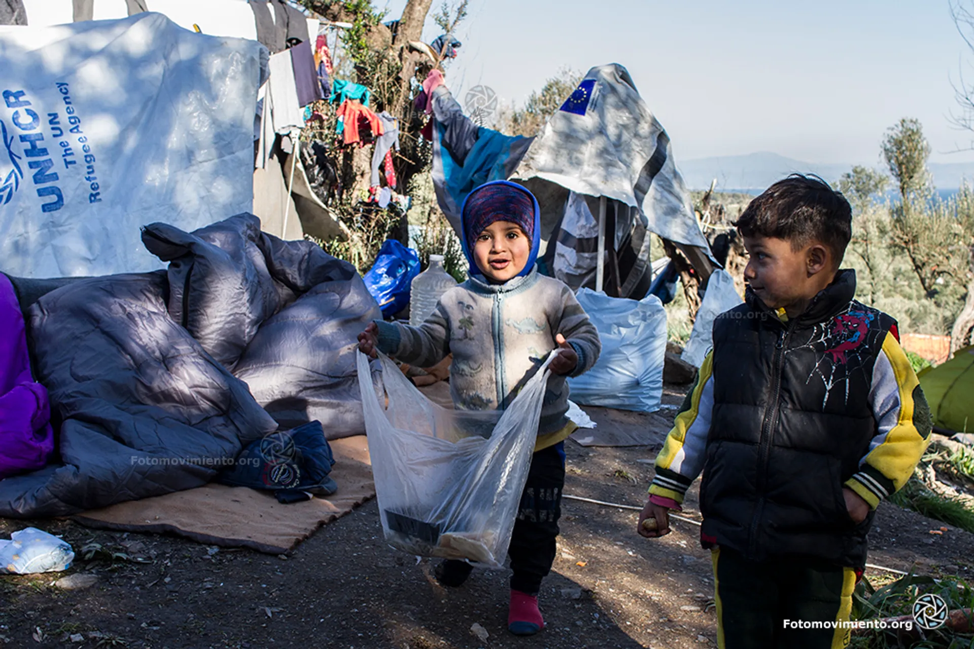 28185349419_91aaf02de6_o