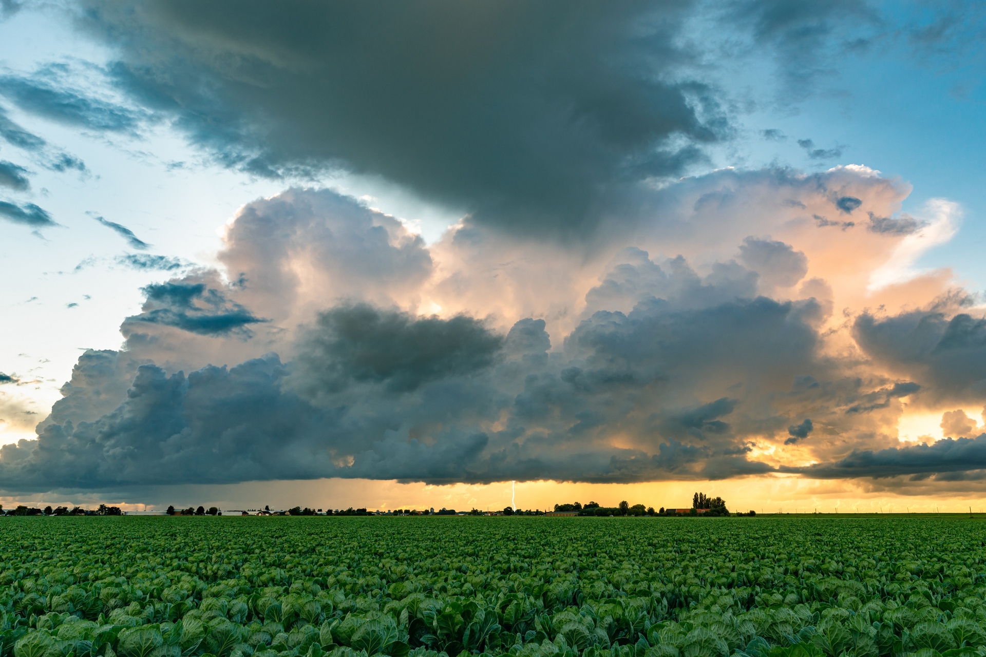 Afbeelding van Wordt extreem weer normaal?