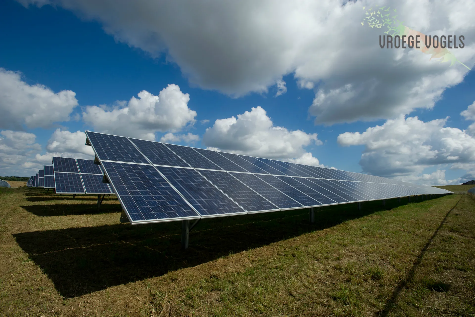 Afbeelding van 147 Miljoen voor energiezuinige technieken in 2018 | Vroege Vogels