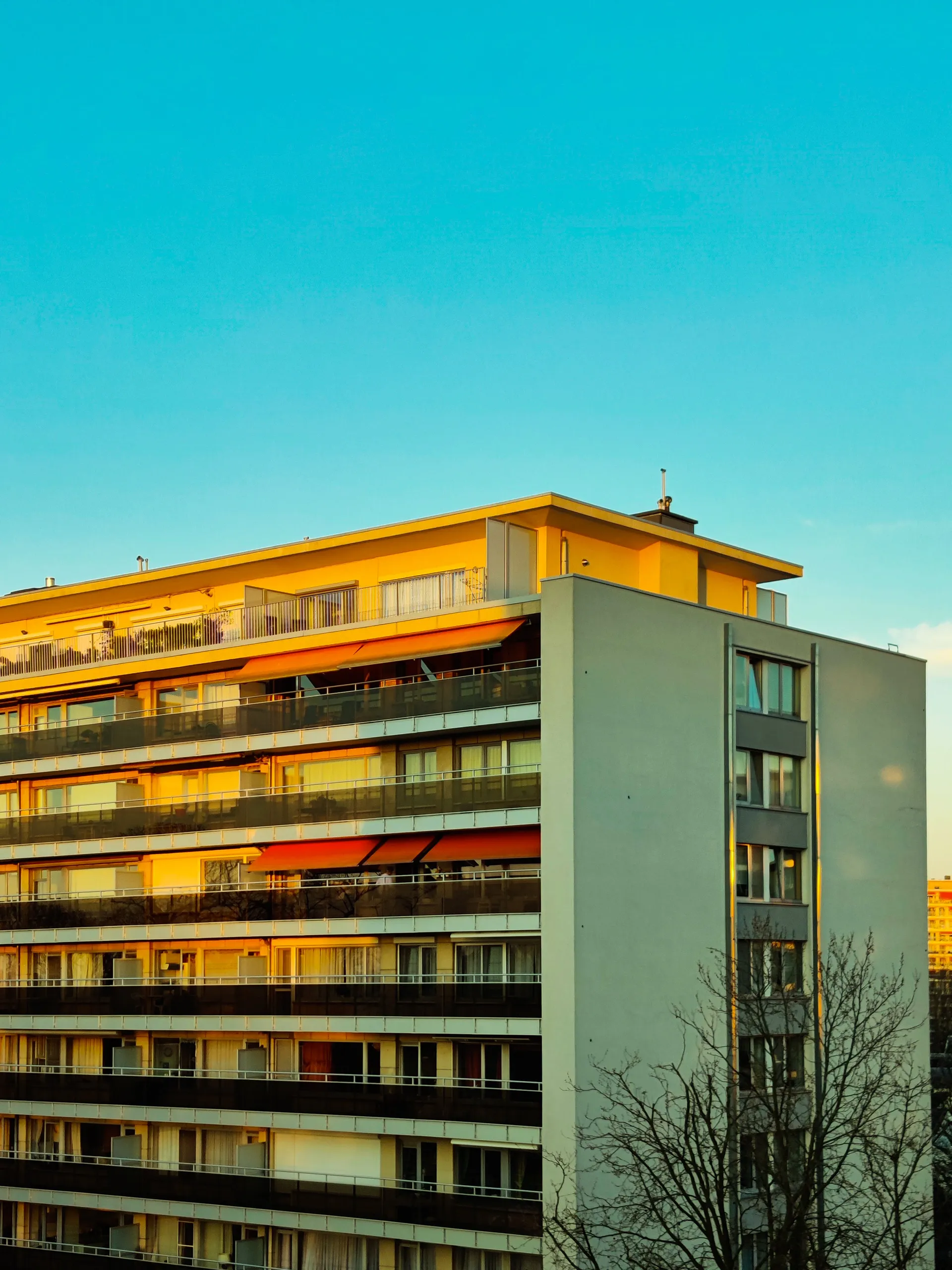 Afbeelding van Een sociale huurwoning vinden: waarom is dat zo moeilijk?