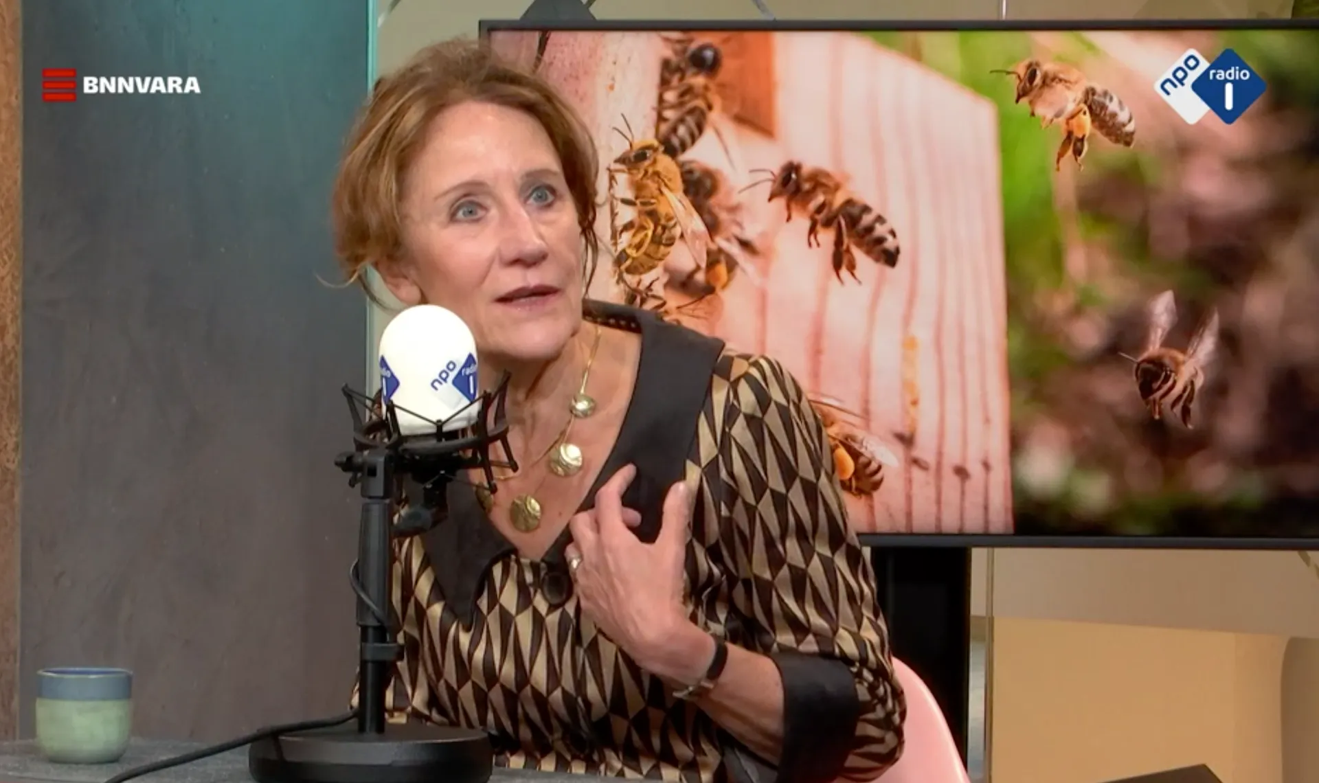 Afbeelding van Hoe zorg je zelf voor meer biodiversiteit in Nederland?