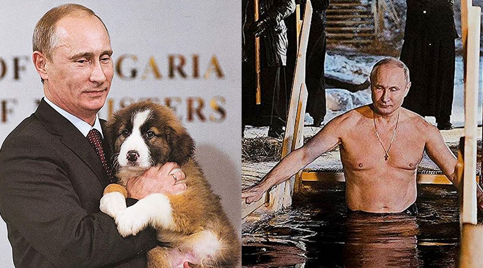 Afbeelding van Poetin knuffelt met hondjes op zijn nieuwe kalender