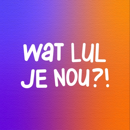 Afbeelding van Wat lul je nou?!