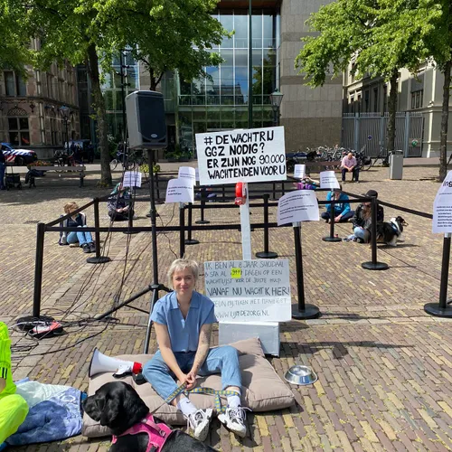 Digitale GGZ. Werkt dat?