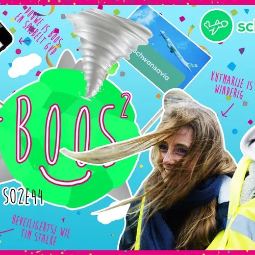 Hoeveel geld kan een tikfout van Transavia jou kosten?