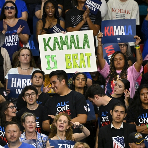 Afbeelding van Wat is 'brat' en waarom heeft Kamala Harris een 'brat summer'?