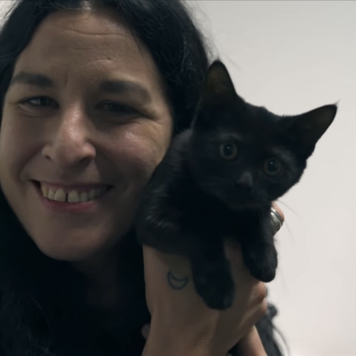 Raven maakt kennis met gedumpte kittens in overvol kattenasiel: 'Waarom doen mensen dat nou?!'