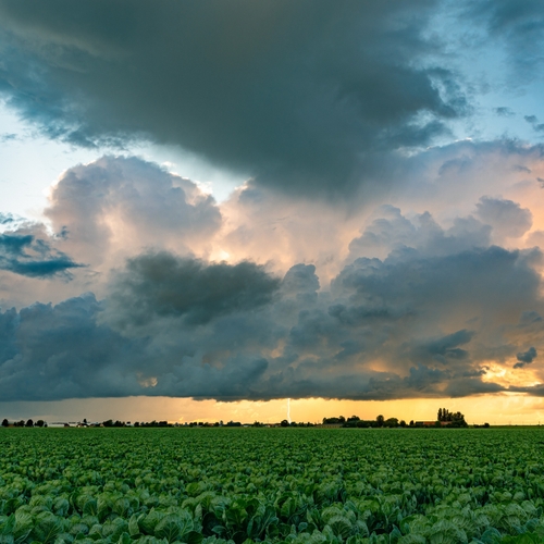 Wordt extreem weer normaal?