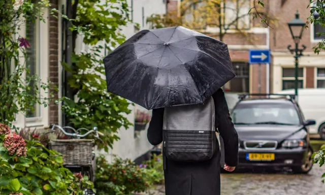 Afbeelding van 'Doe maar normaal, dan doe je al gek genoeg': waar komt die uitspraak vandaan?